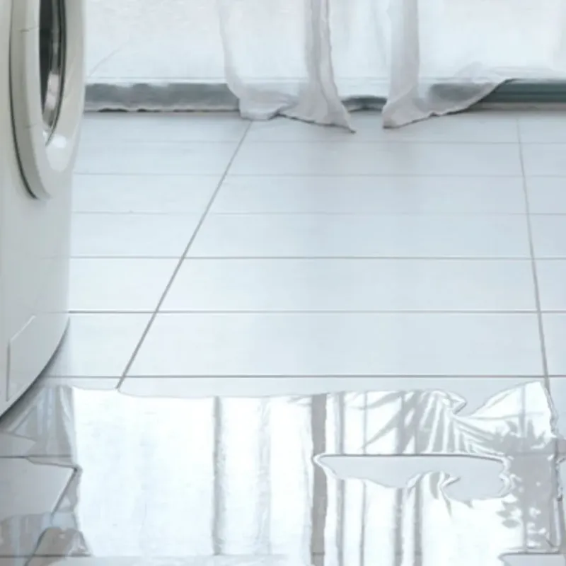 Appliance Leak Cleanup in Minooka, IL