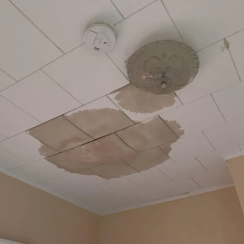 Ceiling Water Damage Repair in Minooka, IL