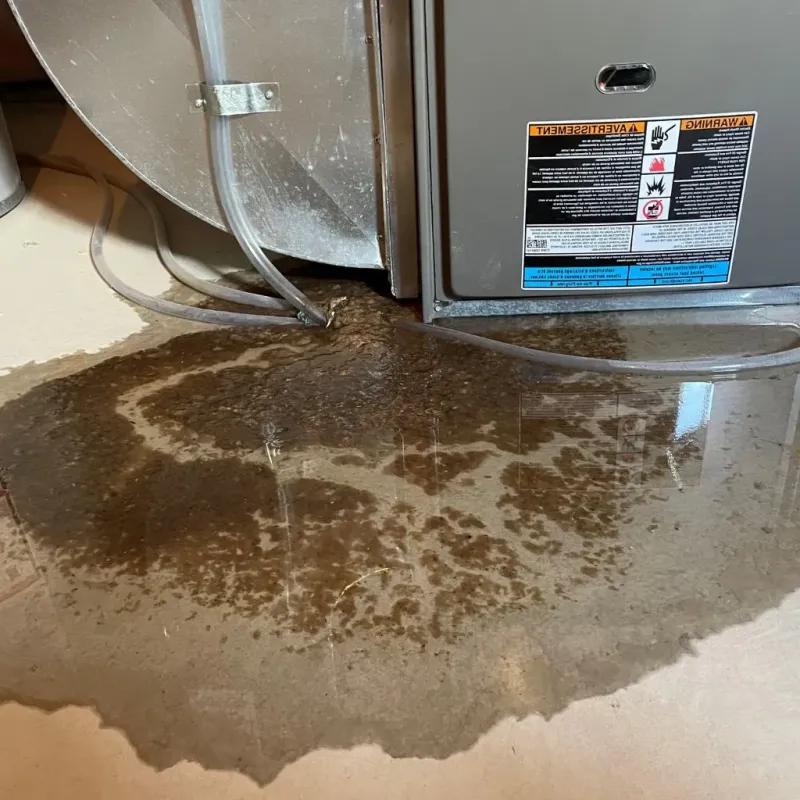 Pipe Burst and Leak Restoration in Minooka, IL