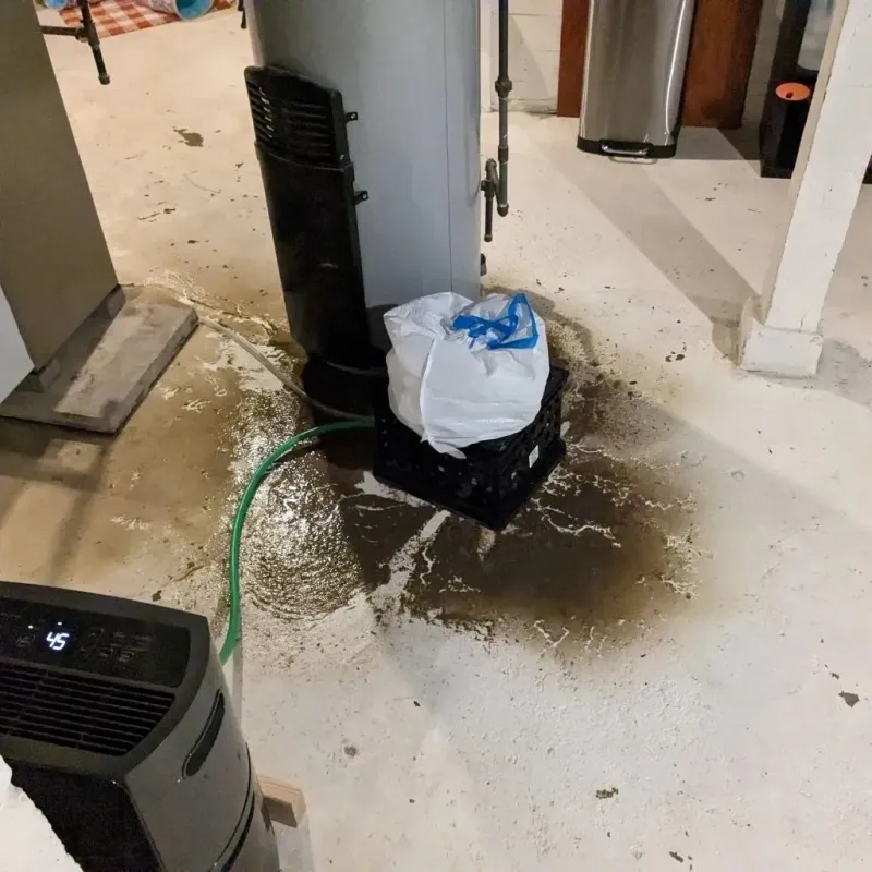 Sewage Backup Cleanup Service in Minooka, IL